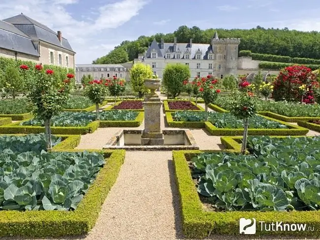 French vegetable garden