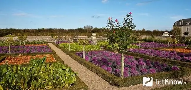 Progettazione del giardino fai da te