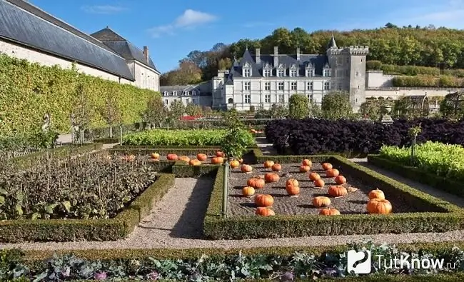 French vegetable garden photo