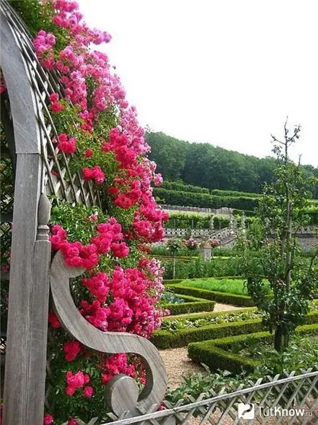 Rusthoek in de Franse moestuin