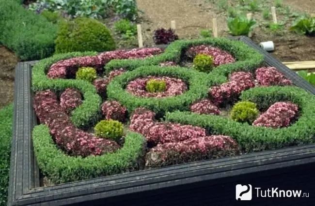 Giardino alla francese fai da te