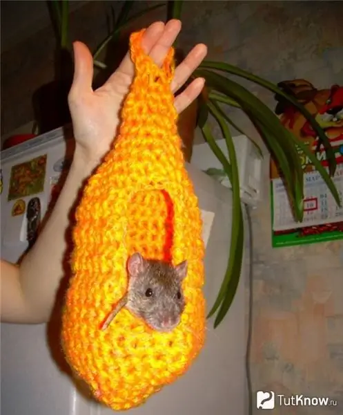 Rat hammock