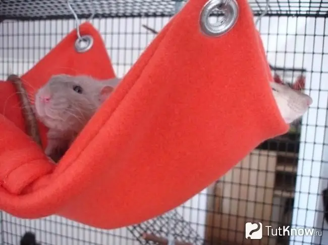 Fleece rat hammock