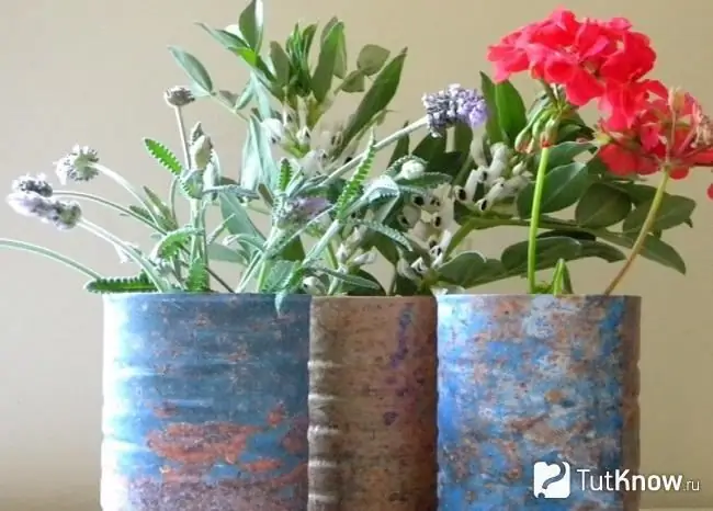 Tin can pots for flowers