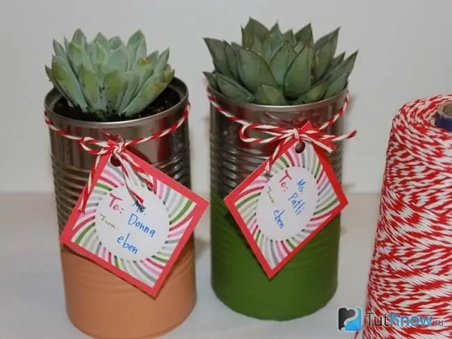 Flower Tin Can Pots