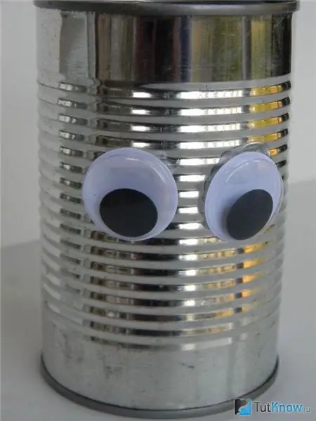 Craft from a tin can