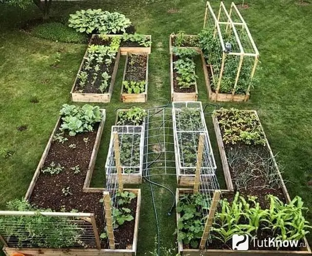 Jardin d'ornement aux formes géométriques strictes