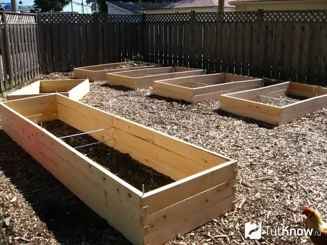 Do-it-yourself boxes with a trellis