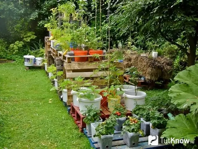 Letti insoliti in un giardino decorativo