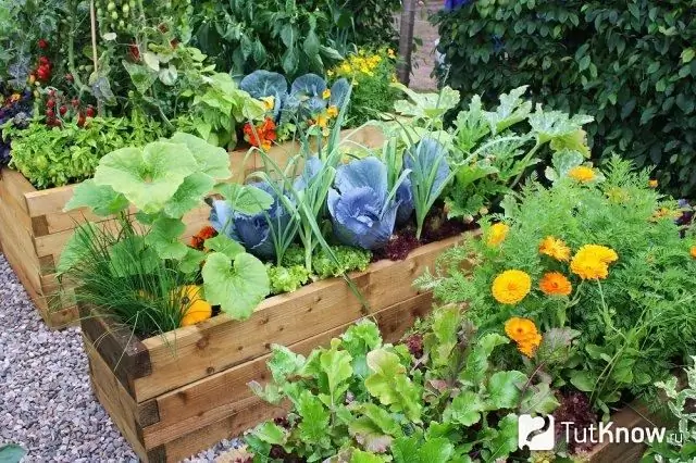 Ungewöhnliche Betten in einem dekorativen Garten