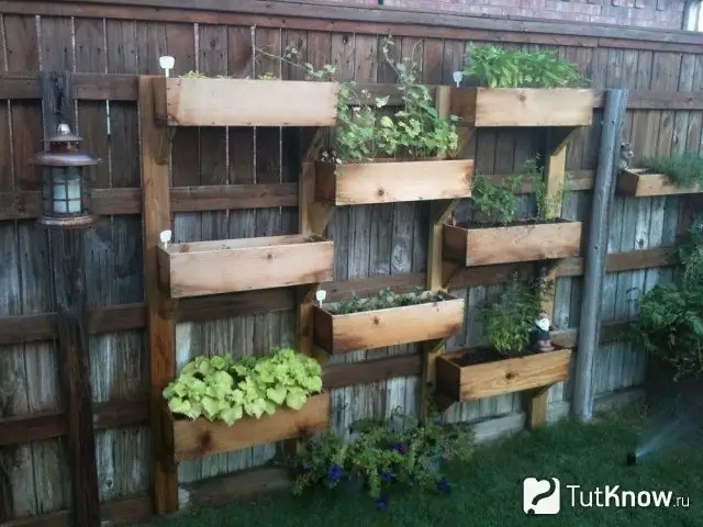 Unusual beds in a decorative garden