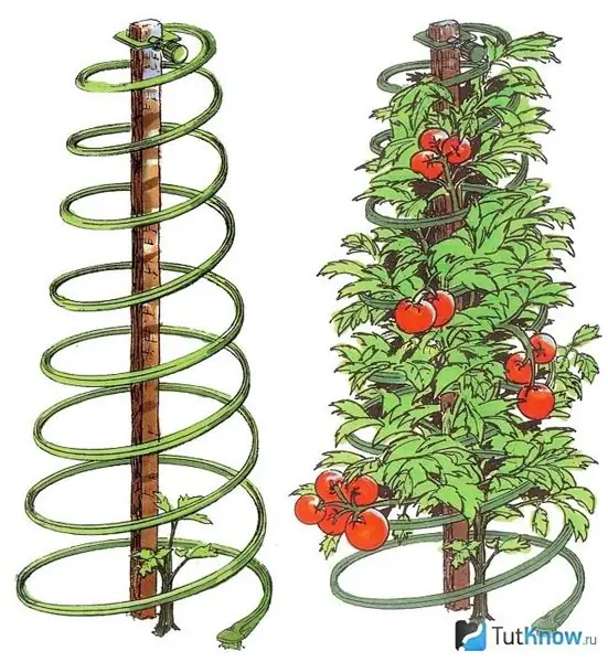 Grădină decorativă DIY