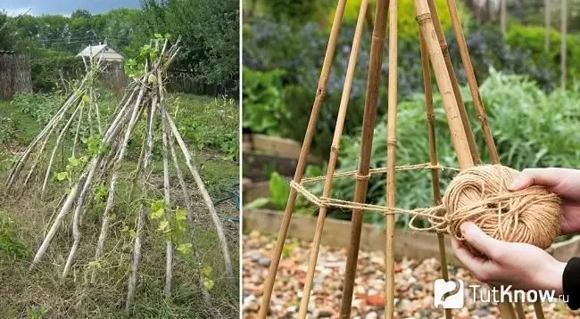 DIY dekorativ trädgård