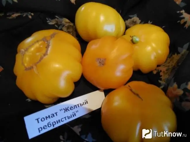 Jaune tomate