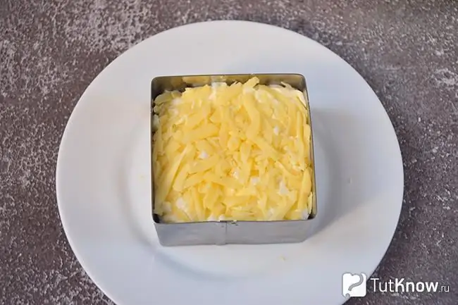 Layer of cheese in a salad dish