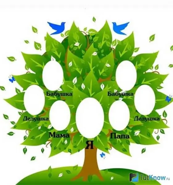 Applicazione albero genealogico