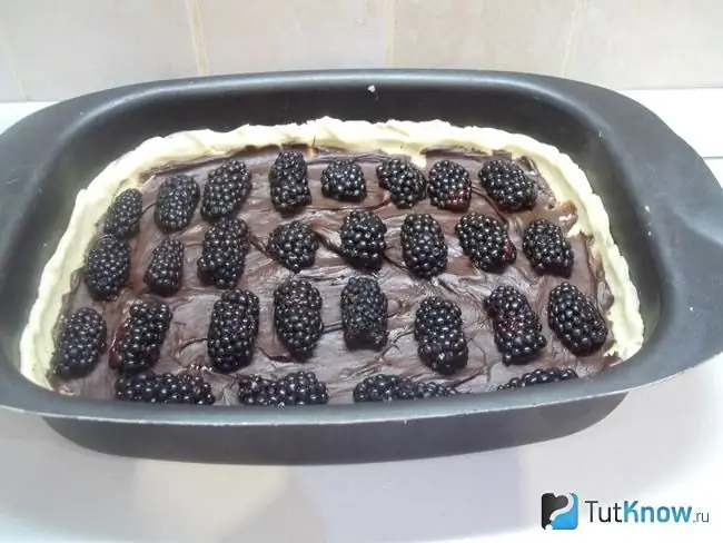 Blackberry dilapisi dengan nutella