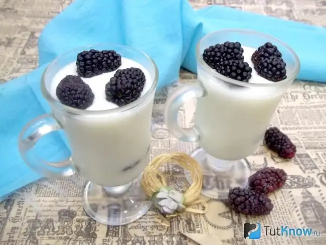 Fertiges Milchgelee mit Schokoladenpaste und Brombeeren