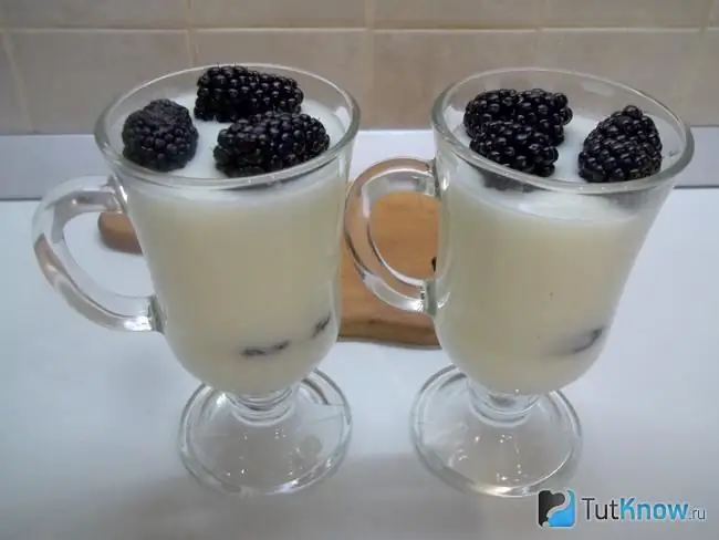 Fertiges Milchgelee mit Schokoladenpaste und Brombeeren