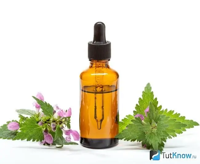 Nettle oil