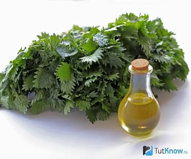 Nettle oil for face