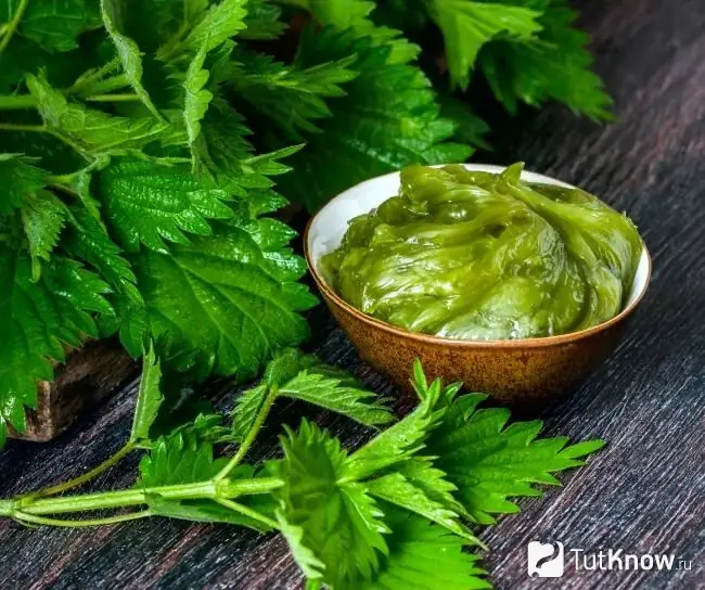 Nettle oil for body