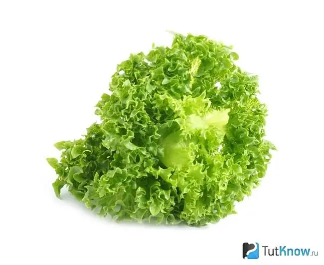 Frillis lettuce