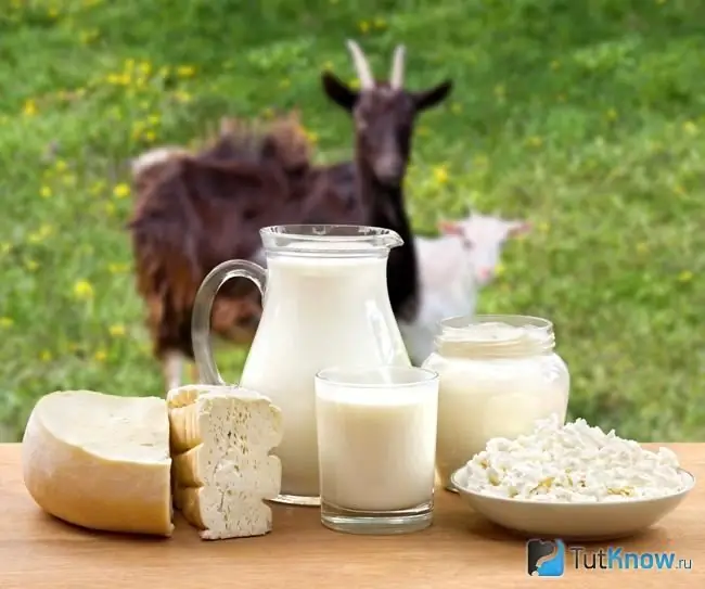 The appearance of goat milk curd