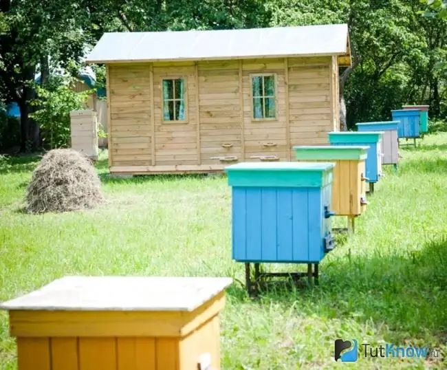 Bain maison pour la thérapie des abeilles