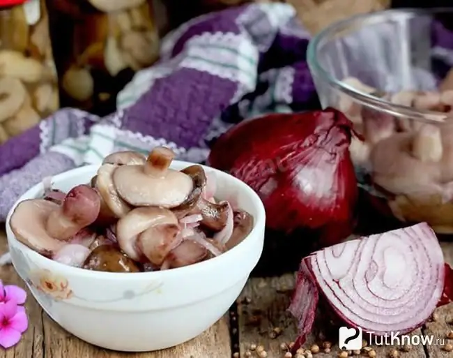 Pickled boletus