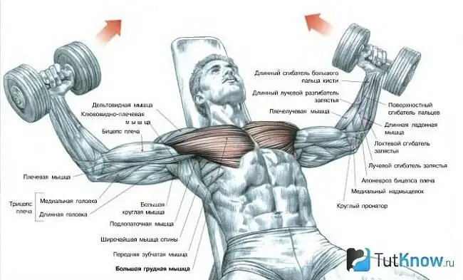 Itinakda si Dumbbell sa isang incline bench