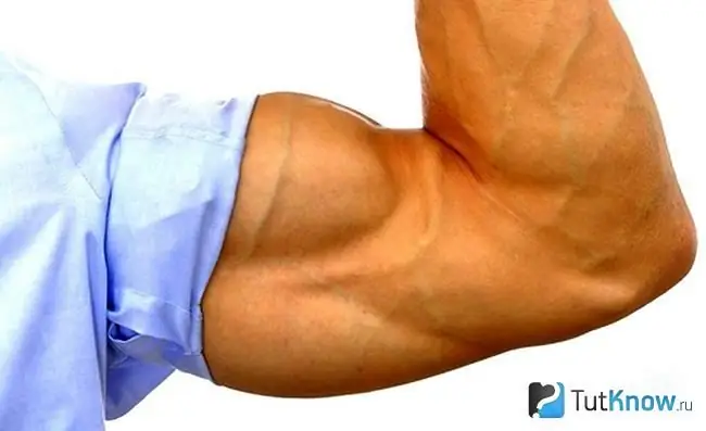 Grote mannelijke biceps