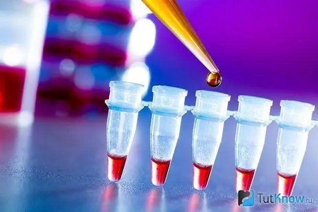 Five cones with blood samples