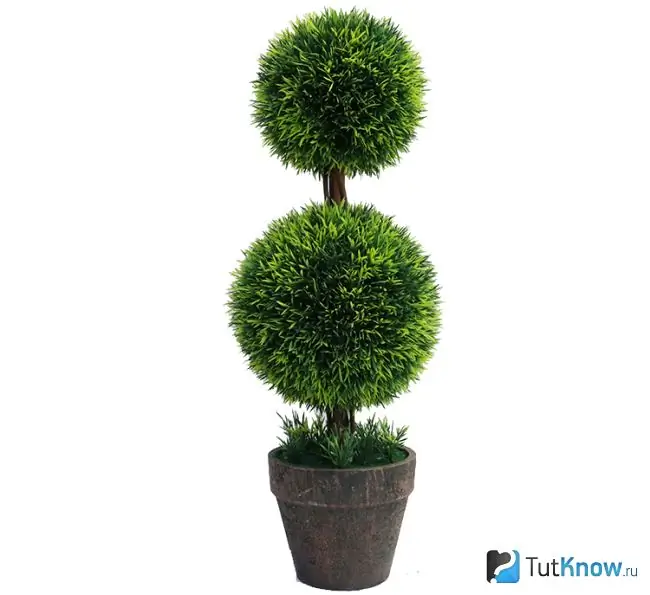 Topiary rumput