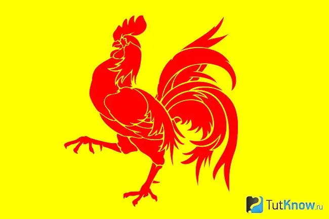 Ayam jago merah dengan latar belakang kuning