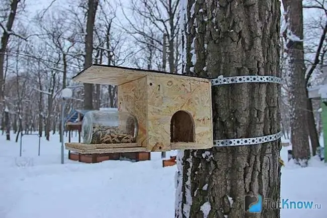 Hotové kŕmidlo pre veveričky zavesené na strome