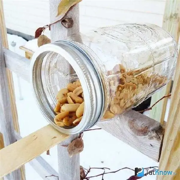 Nueces de ardilla dentro de un frasco de vidrio