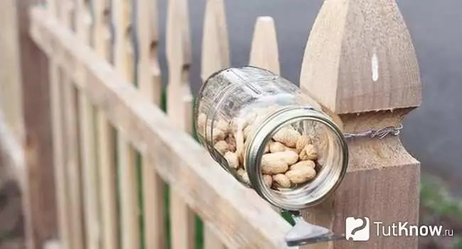 Jar of nuts on the fence