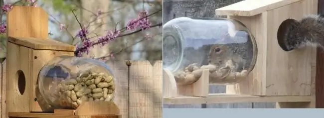 Examples of ready-made homemade squirrel feeders