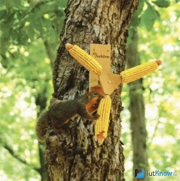 Squirrel feeder with three corn