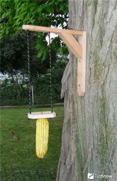 The corn feeder is suspended from a tree