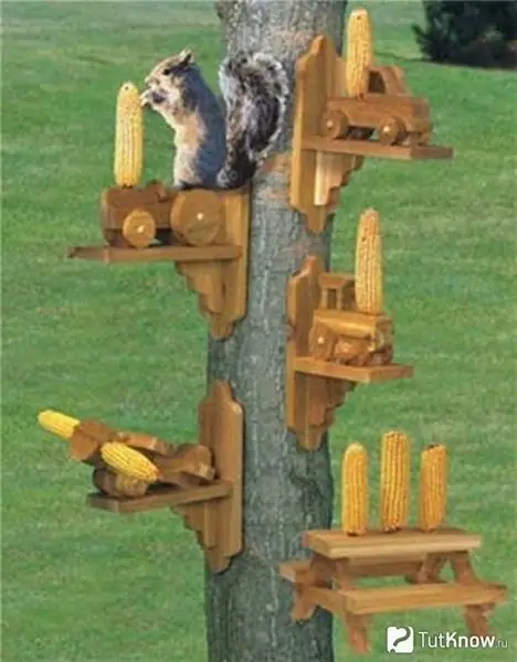 Several feeders for squirrels are suspended from a tree