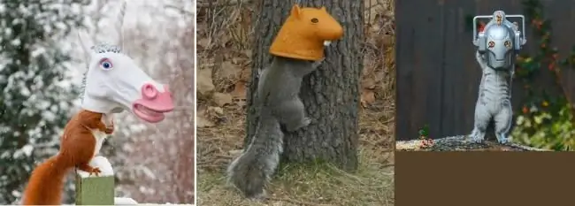 Squirrel feeders from rubber masks