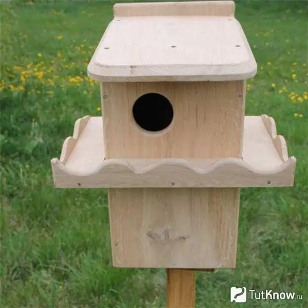 Ready-made two-story squirrel feeder