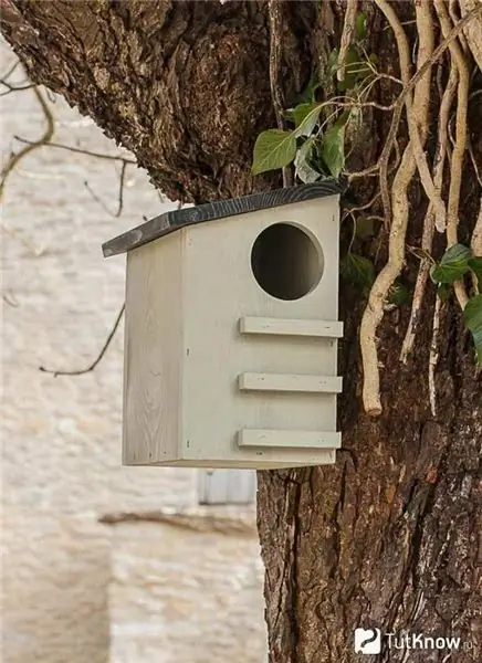 Alimentador de ardilla colgante con un primer plano de escalera