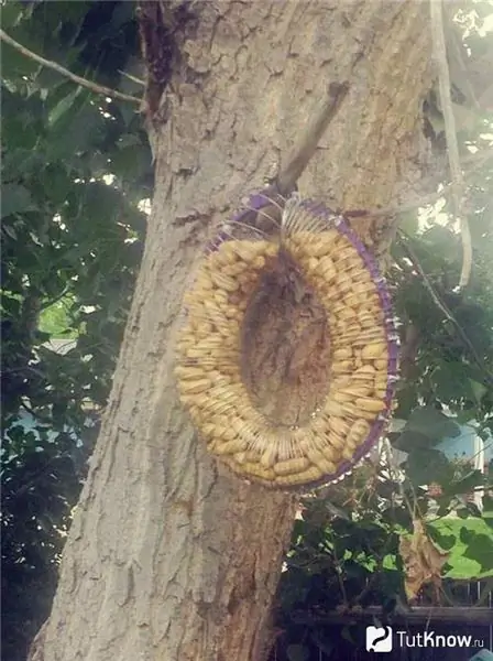 Squirrel feeder in the form of a wreath with food