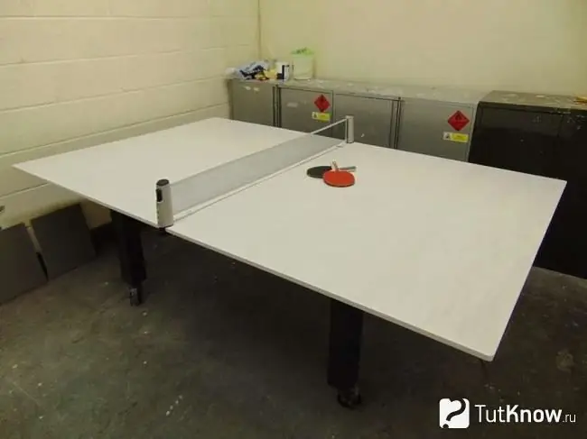 Ping pong table