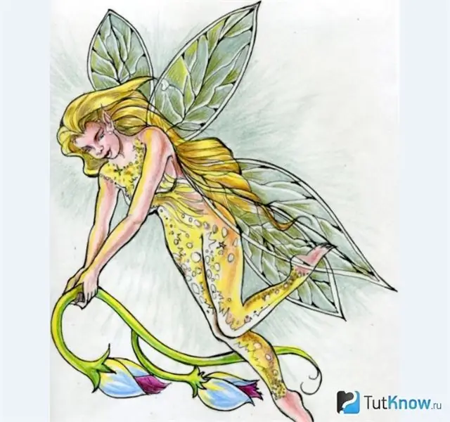 Fairy coloring