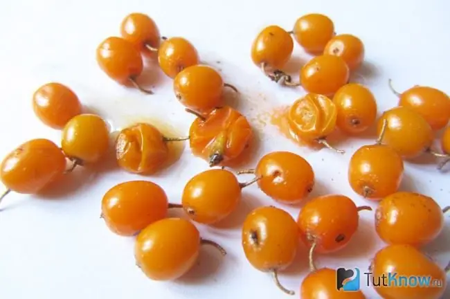 Useful properties of sea buckthorn