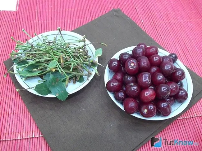 Bishtat me gjethe të hequra nga manaferrat